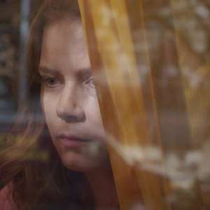 The Woman in the Window